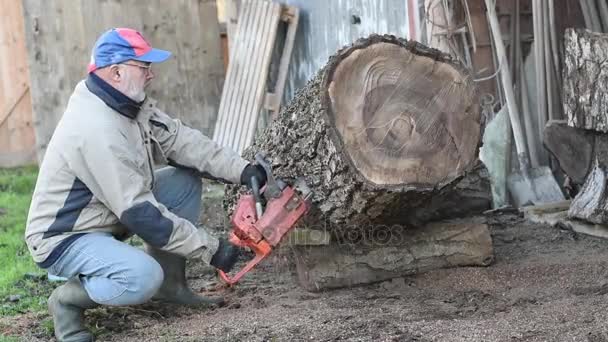 Lumberjack With Chainsaw. — Stock Video