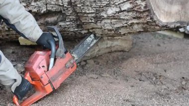 Elektrikli testere ile oduncu.