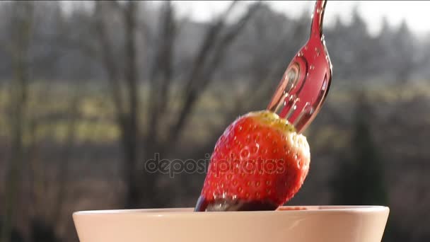 Lehajló csokoládé mártással strawberry. — Stock videók