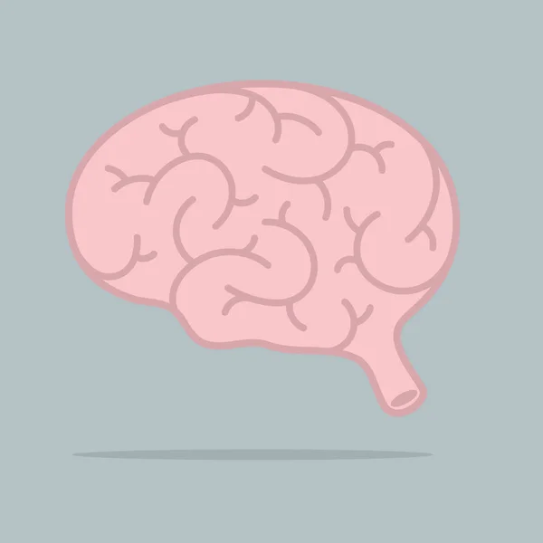 Illustration des Gehirnvektors. — Stockvektor