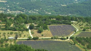 Lavanta alanların Plateau de Valensole, Fransa.