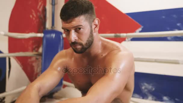 Muscular male boxer sitting inside boxing ring looking at camera. — Stock Video