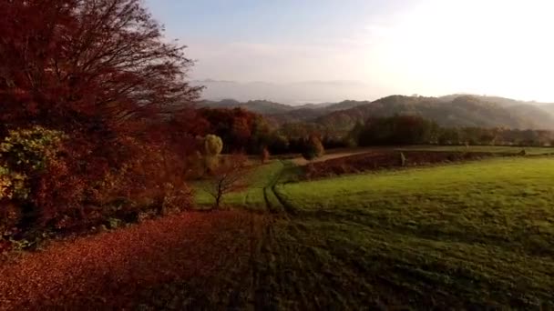 Flying over autumn landscape — Stock Video