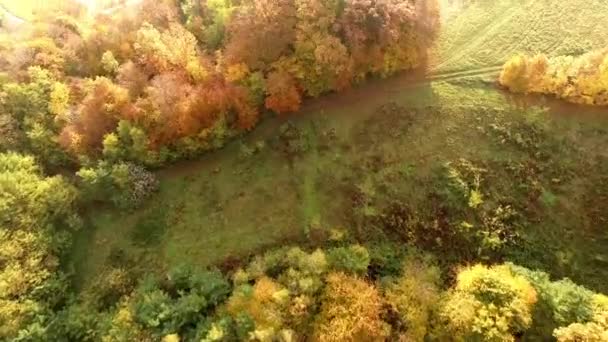 Vliegen over herfst landschap — Stockvideo