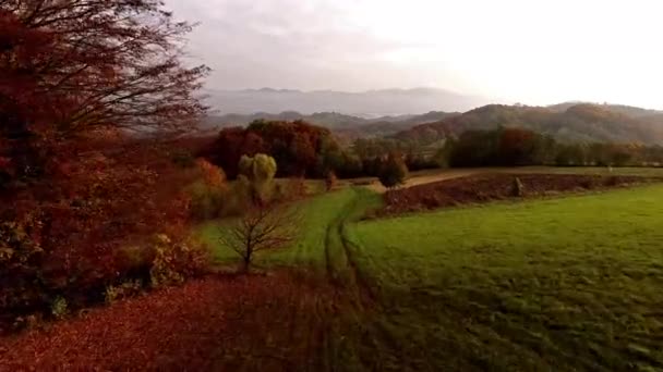Полет над осенним пейзажем — стоковое видео