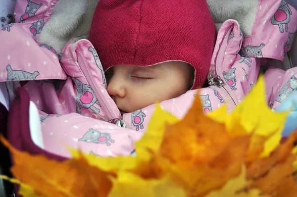 Сундук красоты, новорожденный, спящий крупный план — стоковое фото