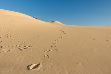Joaquina'nın kumdaki.
