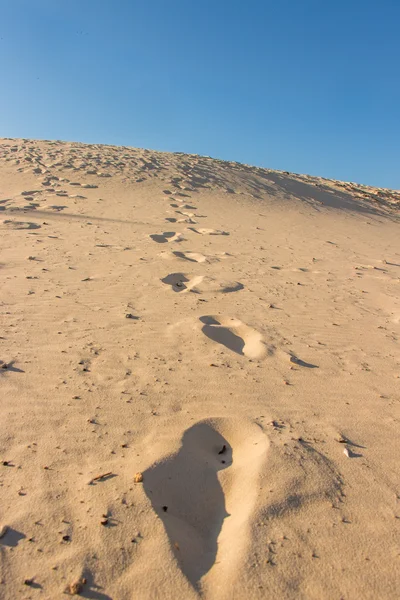 Fotspår i Joaquina's sand. — Stockfoto