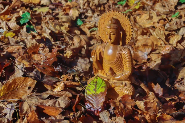 Drewniany Posąg Buddy Lesie Namaste — Zdjęcie stockowe