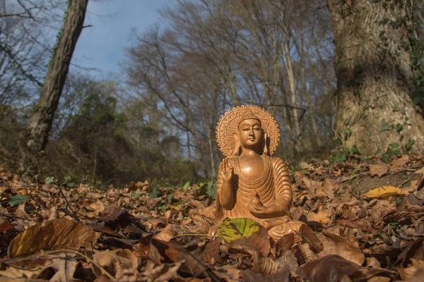 Buda Nın Ormandaki Tahta Heykeli Budizm Hindu Sembolü Namaste — Stok fotoğraf