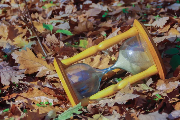 Tijd Geld Oude School Zandloper Het Bos — Stockfoto