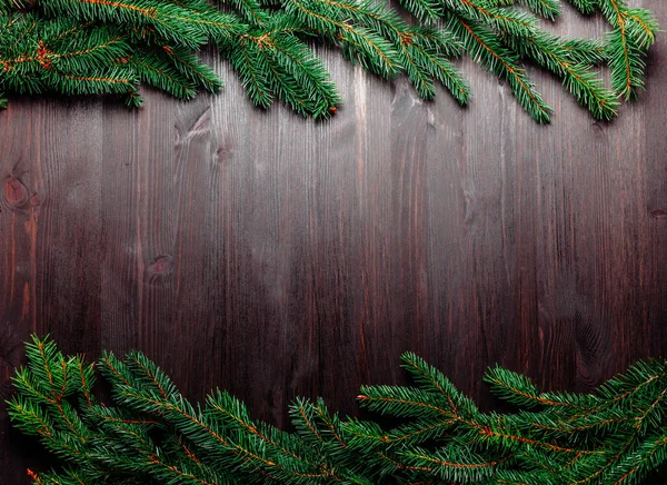 深色背景的冷杉枝干框架，平坦 — 图库照片