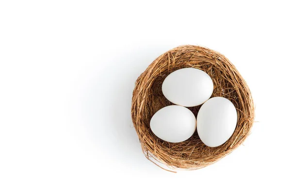 Albero uova bianche di pollo si trovano nel nido — Foto Stock