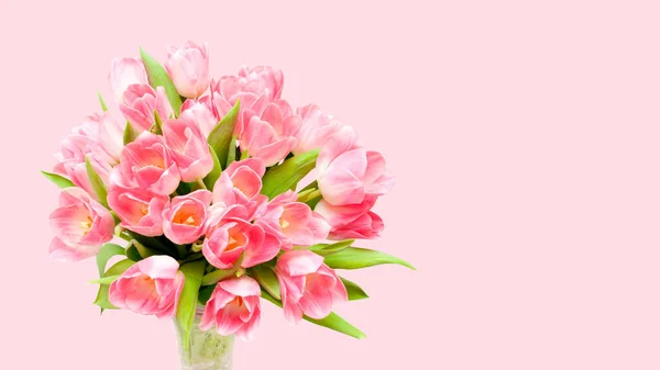 Schöner Strauß Rosa Tulpen Auf Dem Rosa Hintergrund — Stockfoto