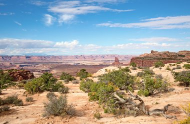 Canyonlands Narional Park