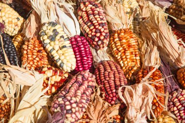 Dekoratif Mısır pazarında