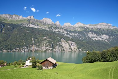 Walensee yaz peyzaj