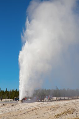 Yellowstone'da spazmodik Şofben