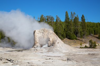 Spazmodik Şofben Erüpsiyonu
