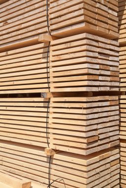 bahçesinde ahşap Çıtçıt