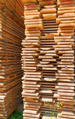 bahçesinde ahşap Çıtçıt