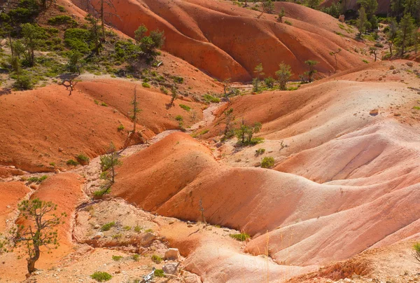 Canyon national park — Stock Photo, Image