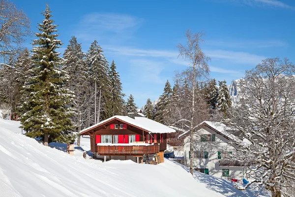 Chill Winter in swiss alps — Stock Photo, Image