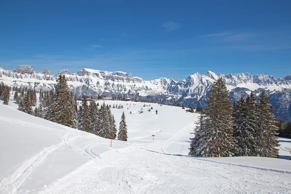 Frío Invierno en los Alpes suizos — Foto de Stock