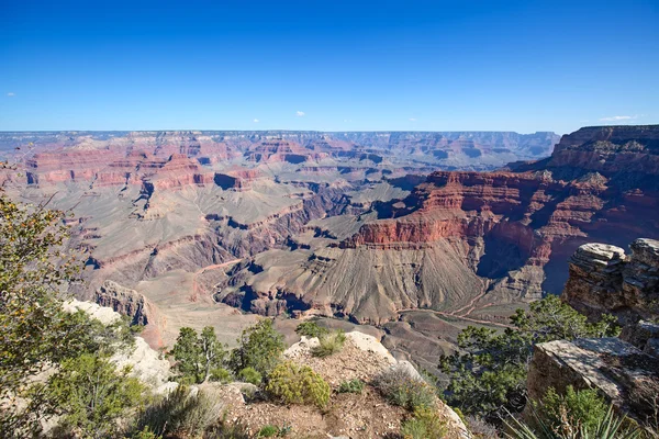Södra kanten av Grand Canyon — Stockfoto