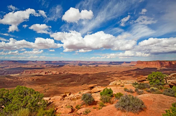 Wyspa niebo Canyonlands — Zdjęcie stockowe