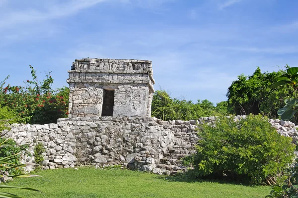 Ruïnes van Maya Fort — Stockfoto