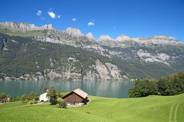 Krajobraz lato w Walensee — Zdjęcie stockowe