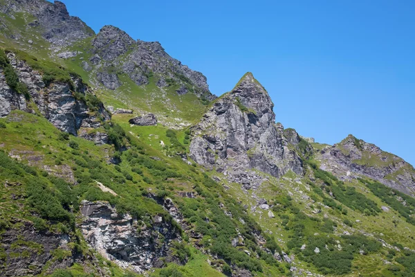 Hiking in swiss alps — Stock Photo, Image