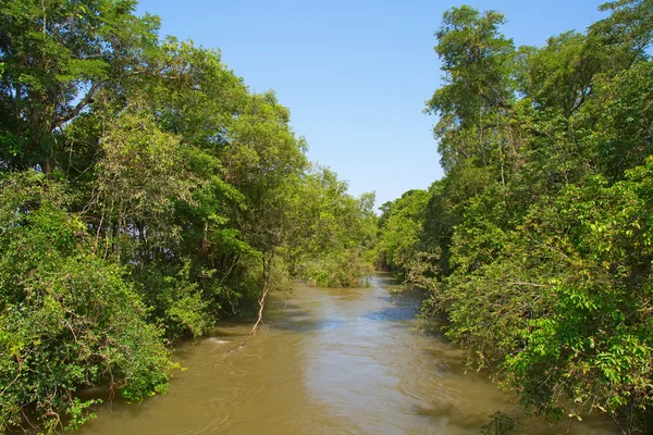 Iguazu Şelaleleri ve parana Nehri 