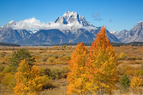 Moran v Grand Teton — Stock fotografie