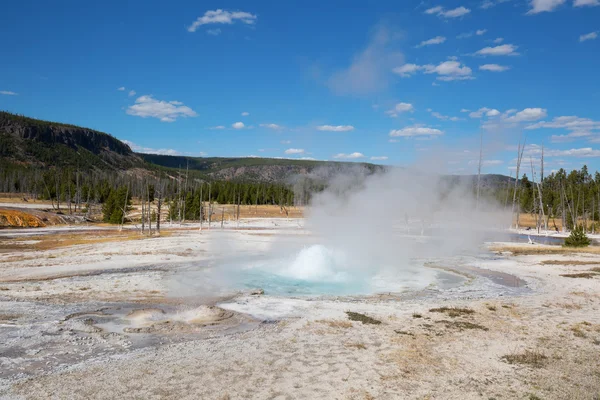  Yellowstone'da Şofben Erüpsiyonu