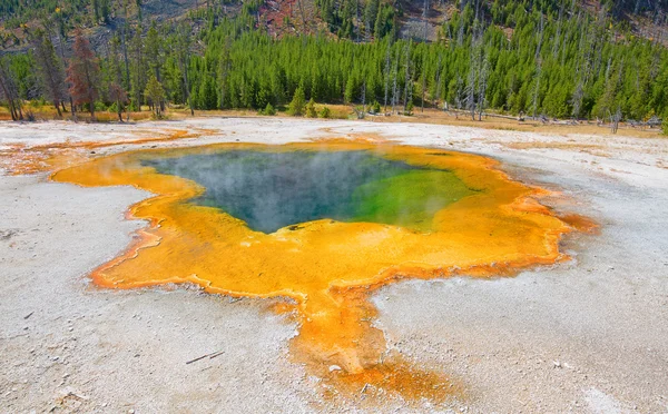 Renkli sıcak su havuzu