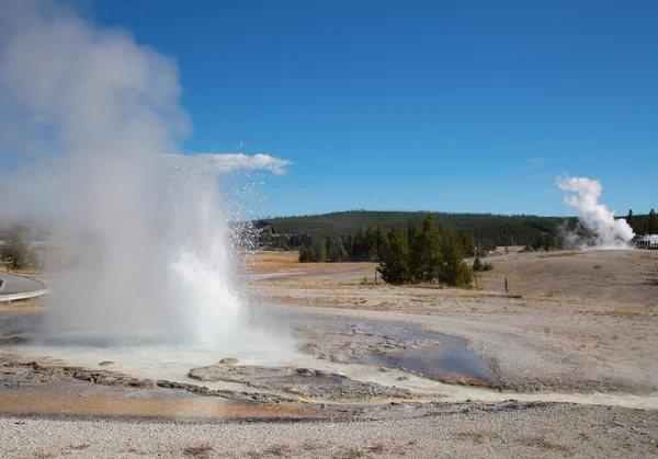 Spasmodic geyser eruption — Stock Photo, Image