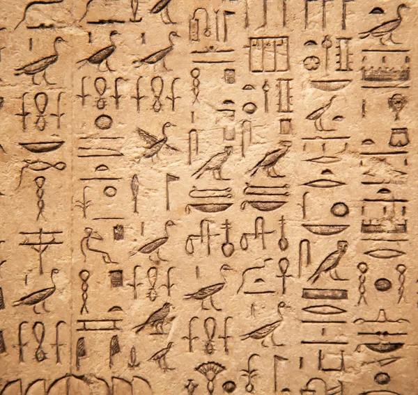 Egyptiska hieroglyfer på vägg — Stockfoto