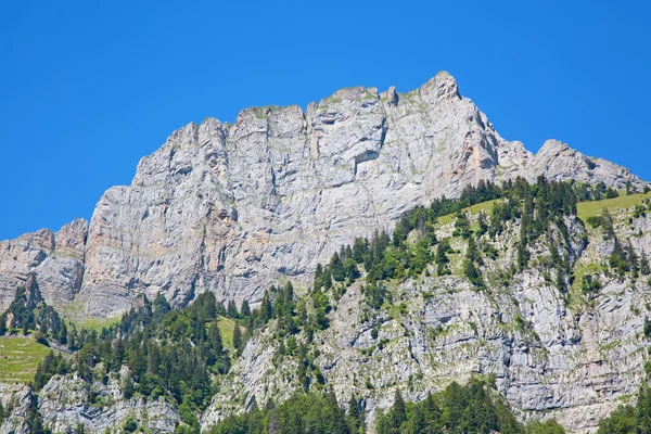 Bereik in de Zwitserse Alpen — Stockfoto