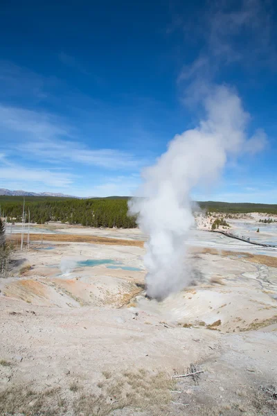 Eruzione geyser a Yellowstone — Foto Stock