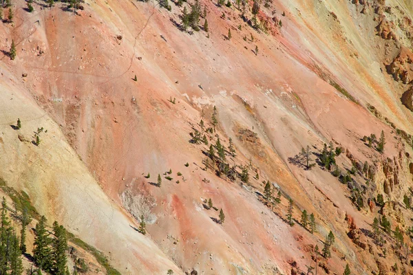 Wanden van de canyon in Yellowstone — Stockfoto