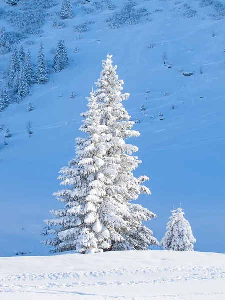Krásné zimní v švýcarských Alpách — Stock fotografie