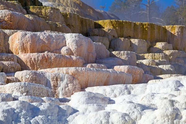 Sources thermales en Yellowstone — Photo