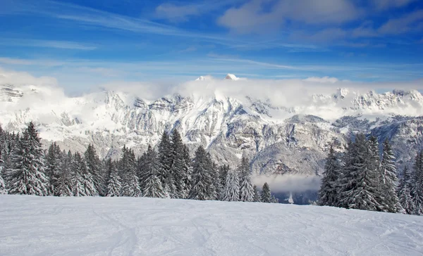 Hermosos Alpes suizos Fotos De Stock Sin Royalties Gratis