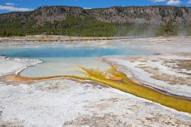 Sıcak havuzu Yellowstone Milli Parkı