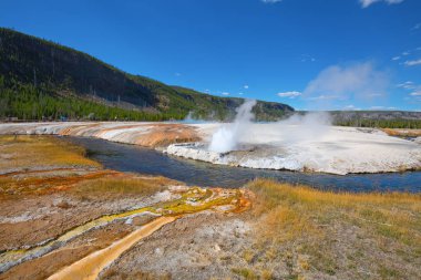 Sıcak havuzu Yellowstone Milli Parkı