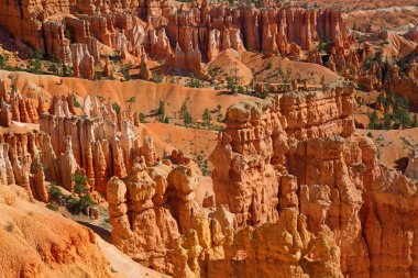 Utah 'taki Bryce Canyon Ulusal Parkı