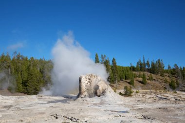 Gayzer patlama Yellowstone Milli Parkı