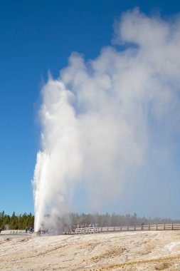 Koni Şofben Yellowstone Milli Parkı içinde